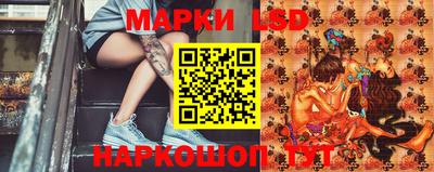 прущие грибы Можайск
