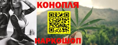 прущие грибы Можайск