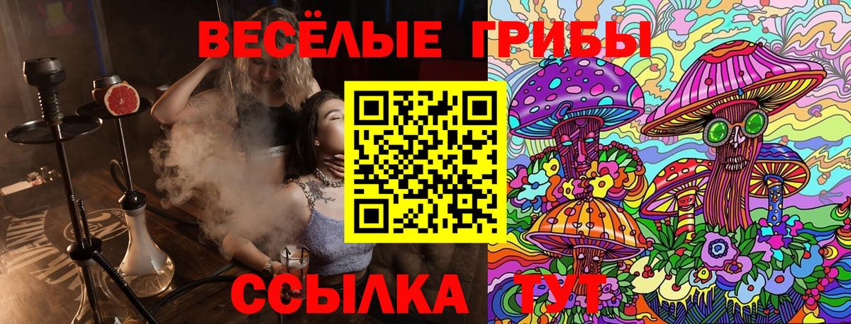 Псилоцибиновые грибы мухоморы Хасавюрт
