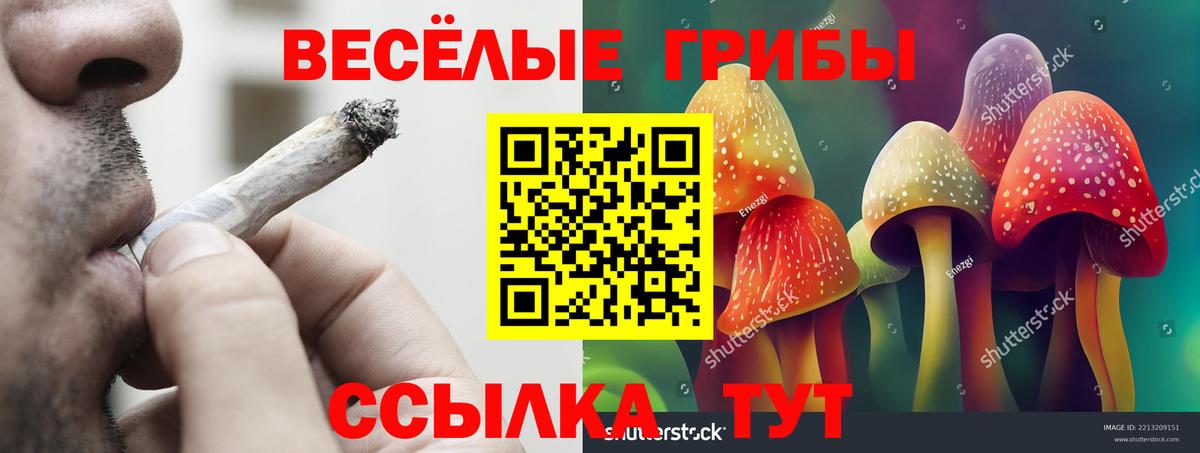 Хасавюрт  Галлюциногенные грибы мицелий  Вход с VPN 